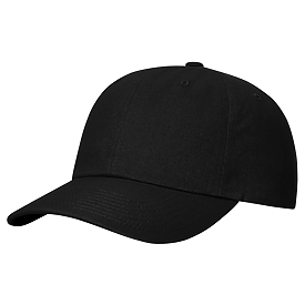 BLACK Richardson Ashland Sustainable Dad Hat