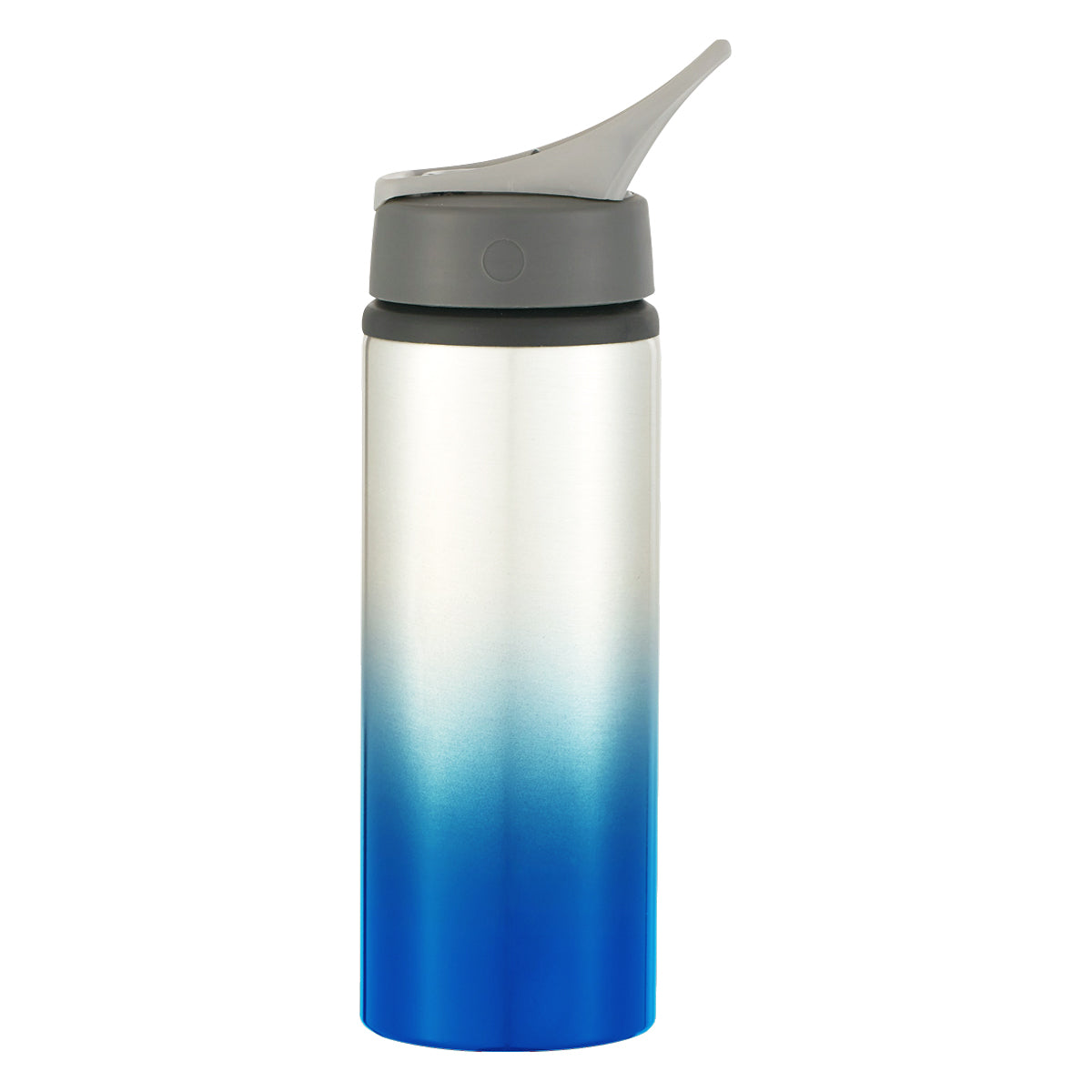 SILVER WITH BLUE 25 Oz. Aluminum Ozona Tumbler plain grouped
