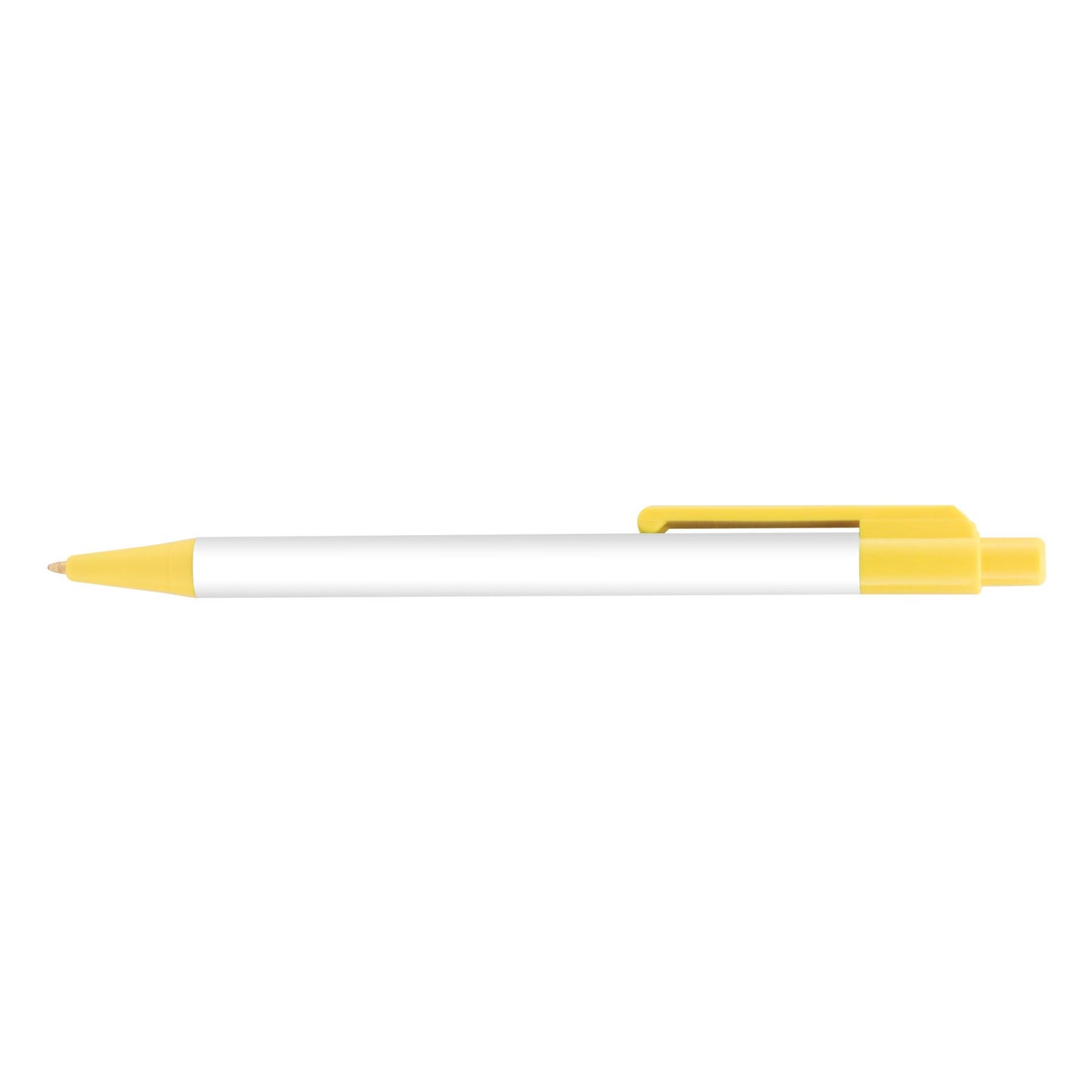 White (Barrel) Colorama + plain