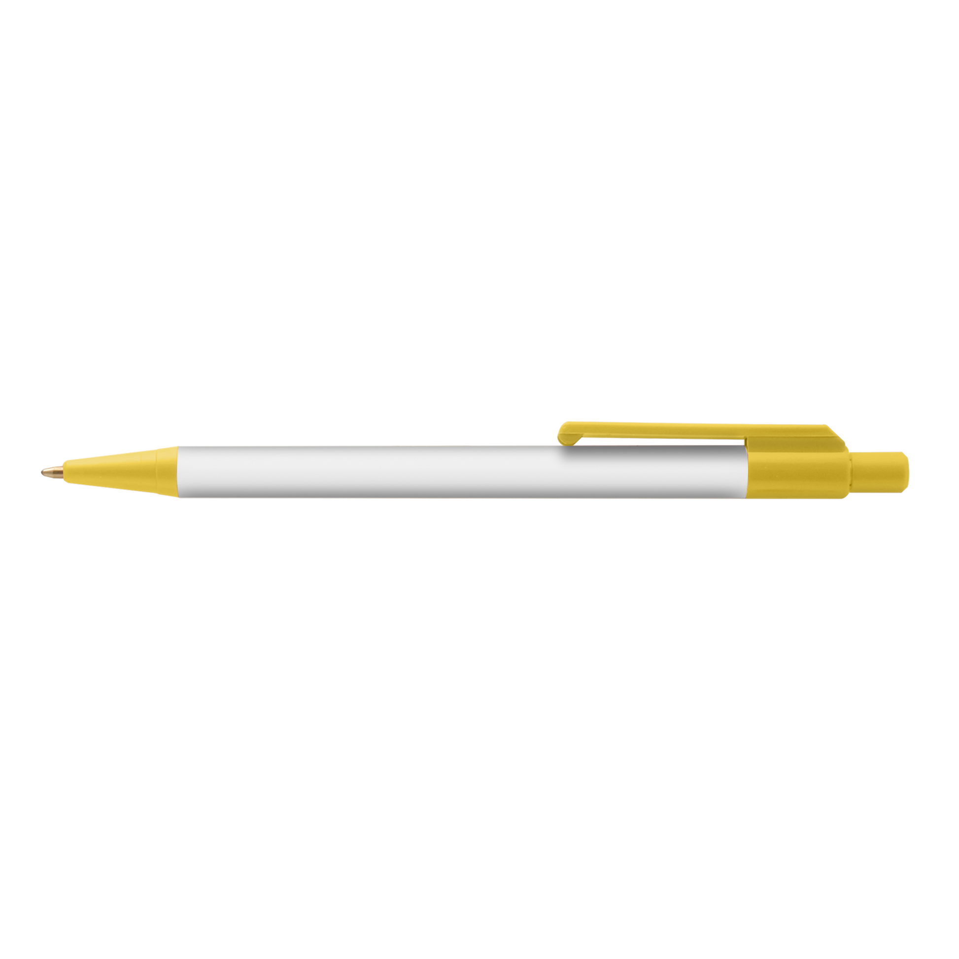 White (Barrel) Colorama + plain